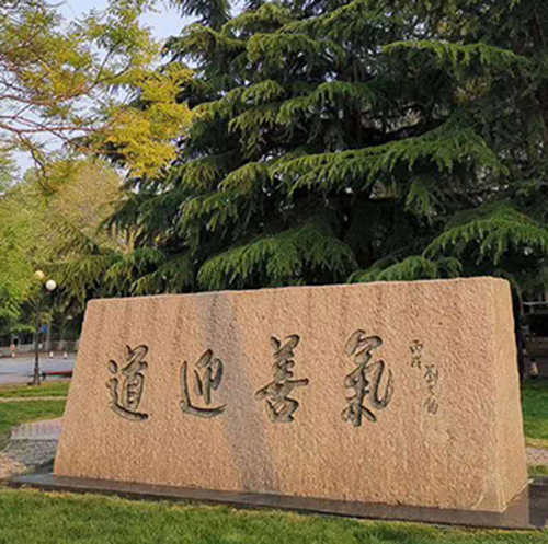 美高梅app