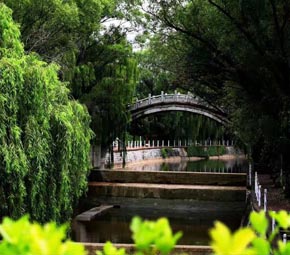 美高梅app