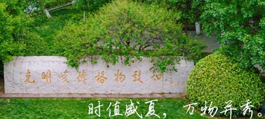 美高梅app