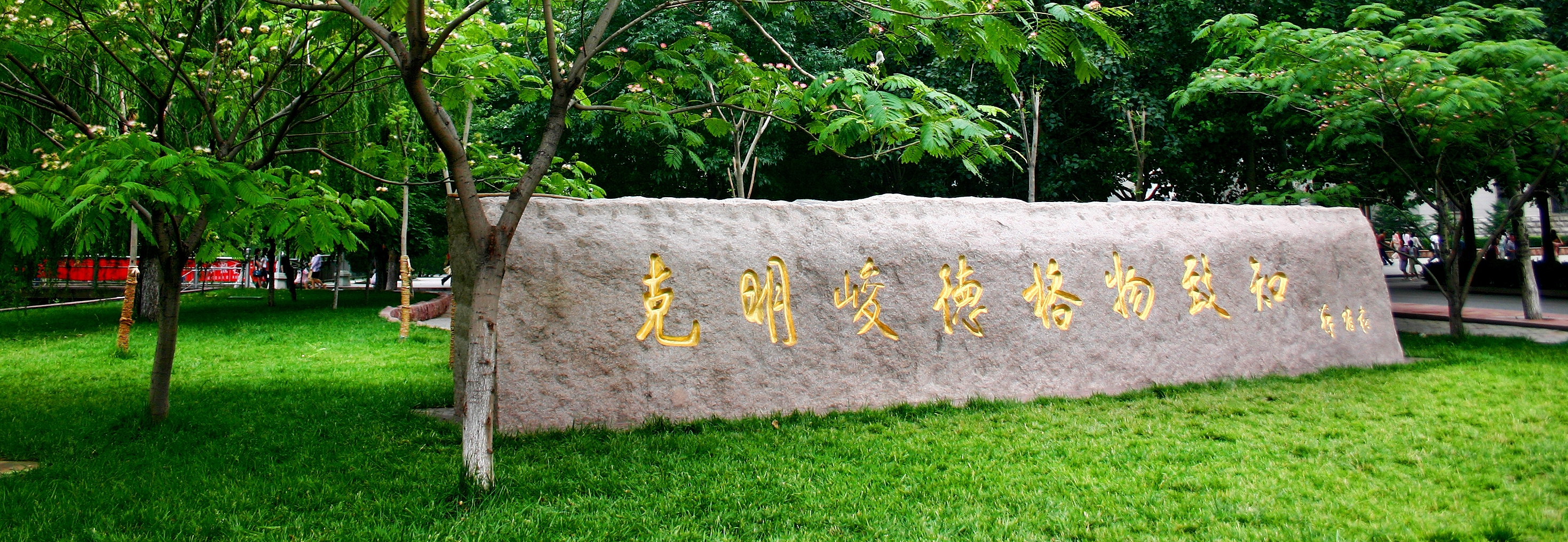 美高梅app